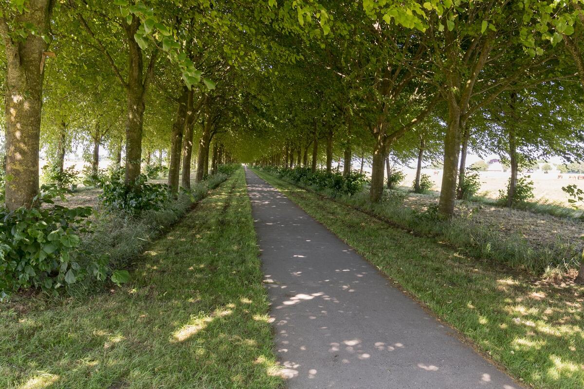 Sien Jensema Hörn 20, 9921 RR Stedum - € 275.000 k.k. - Boekholt & partners makelaars Groningen