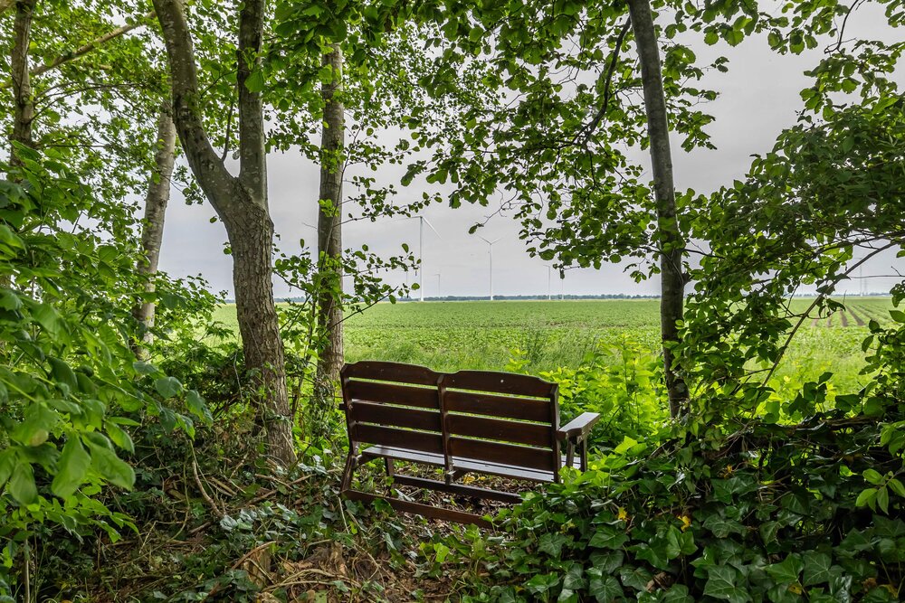 Lindenlaan 33, 9651 BG Meeden - € 625.000 k.k. - Boekholt & partners makelaars Groningen