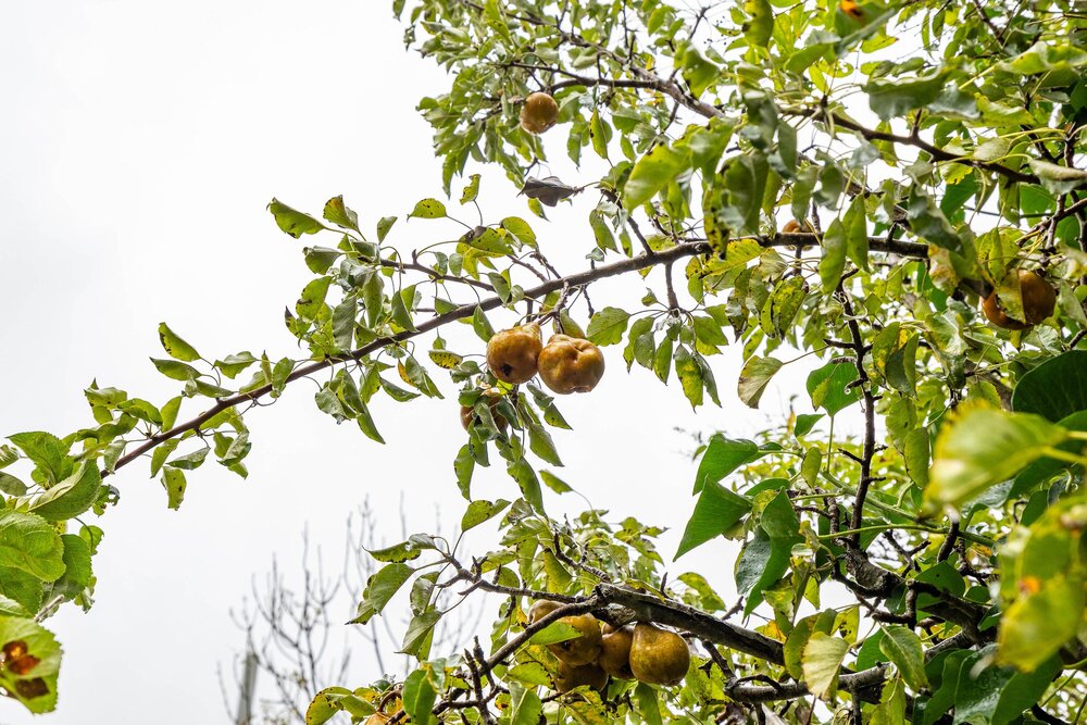 Breitnerstraat 47, 9718 ML Groningen - € 525.000 k.k. - Boekholt & partners makelaars Groningen