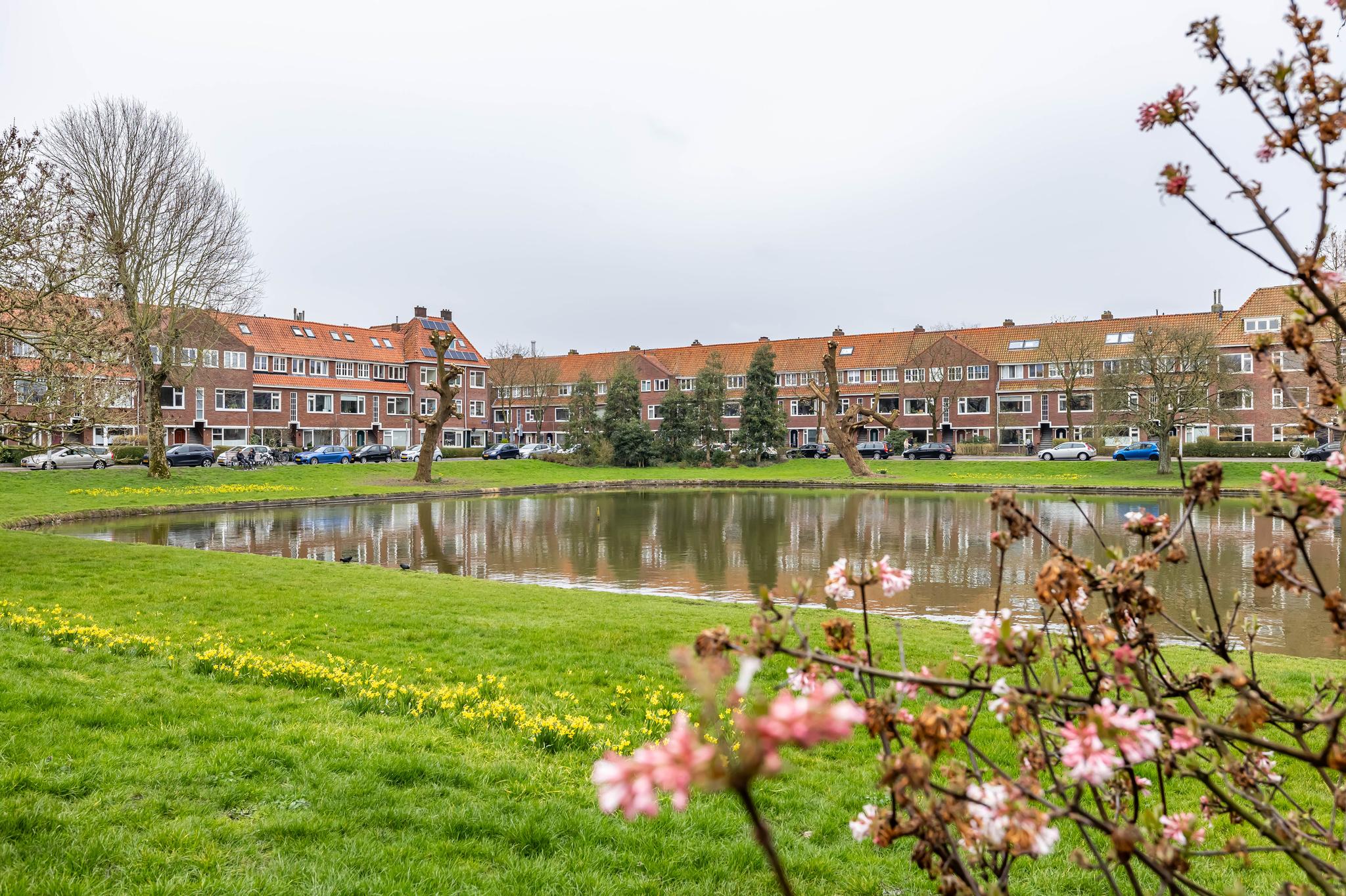 van brakelplein 10 - b groningen